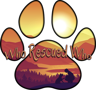 Who Rescued Who - Rescue Transport